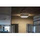 Udendørs LED væglampe BENO LED/18W/230V 4000K antracitgrå IP54