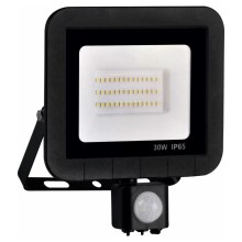 LED projektør med sensor LED/30W/230V IP65