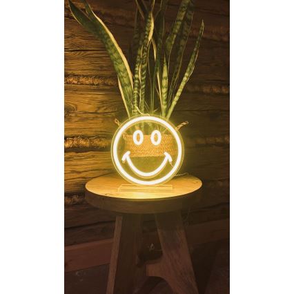 2Kids Toys - LED borddekoration neon LED/5W/USB smiley
