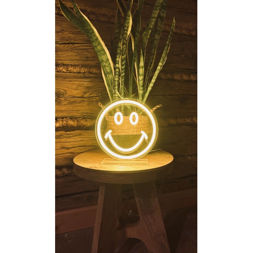 2Kids Toys - LED borddekoration neon LED/5W/USB smiley