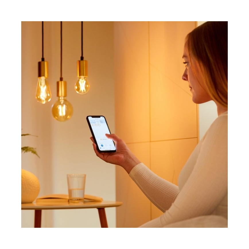 2x LED-pære dæmpbar VINTAGE FILAMENT ST64 E27/6,7W/230V 2000-5000K Wi-Fi - WiZ