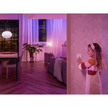 2x Switch-modul til væg Philips Hue SWITCH