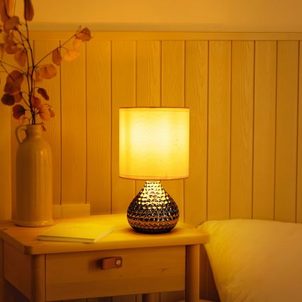 Aigostar - Bordlampe 1xE14/40W/230V skinnende krom