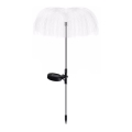 Aigostar - Dekorativ LED solcellelampe LED/0,03W/1,2V 70 cm 300 mAh 6500K IP44