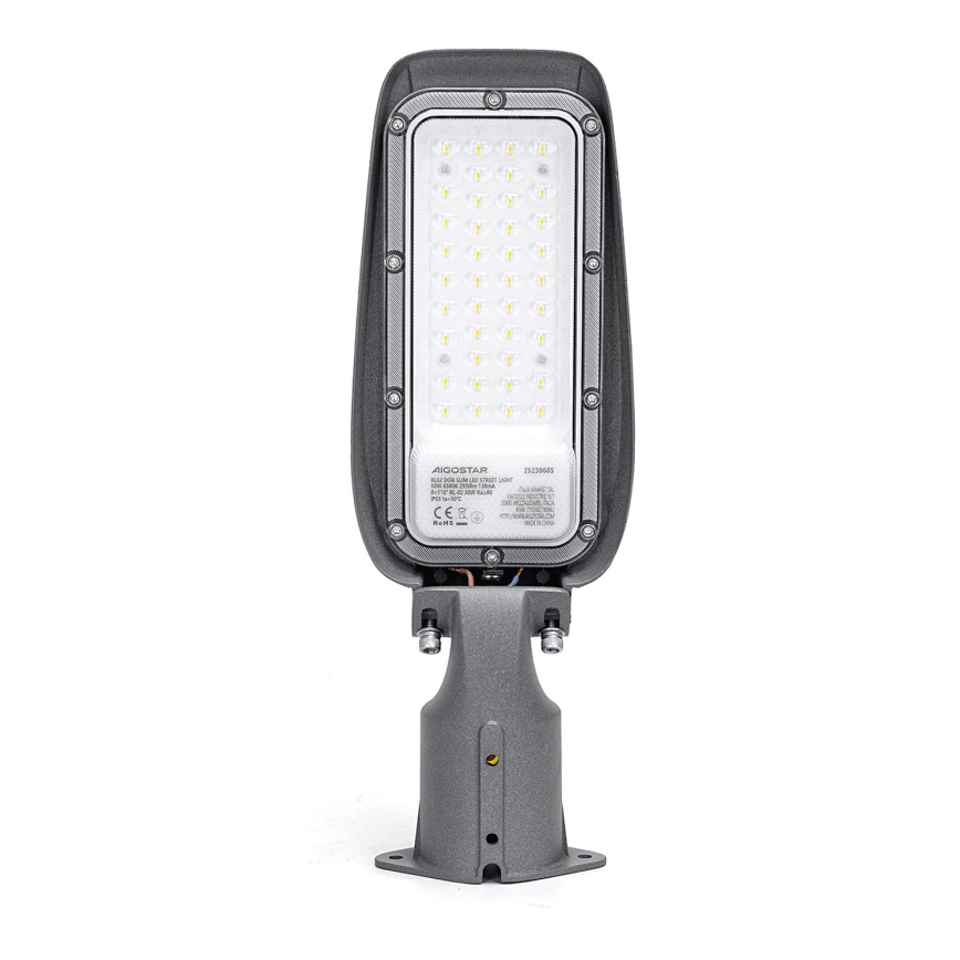 Aigostar - LED gadelampe LED/30W/230V 6500K IP65