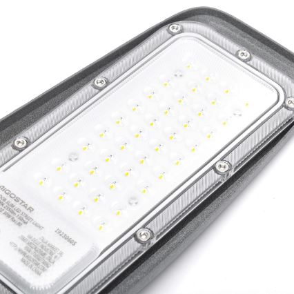 Aigostar - LED gadelampe LED/30W/230V 6500K IP65