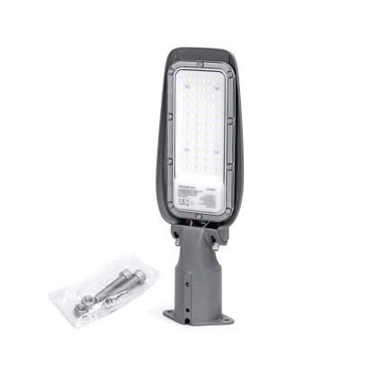 Aigostar - LED gadelampe LED/30W/230V 6500K IP65