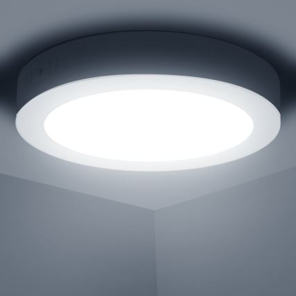 Aigostar - LED Loftlampe LED/12W/230V diameter 17,4 cm 6500K hvid