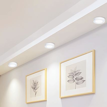 Aigostar - LED Loftlampe LED/12W/230V diameter 17,4 cm 6500K hvid