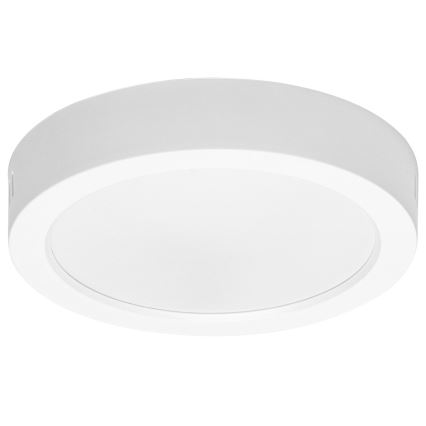Aigostar - LED Loftlampe LED/12W/230V diameter 17,4 cm 6500K hvid