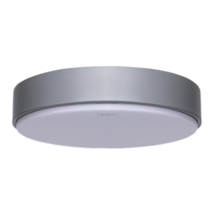 Aigostar - LED loftlampe LED/20W/230V 3000K diam. 30 cm grå