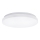 Aigostar - LED loftlampe LED/24W/230V 3000K