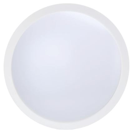 Aigostar - LED Loftlampe med ventilator dæmpbar MESH LED/50W/230V 2700-6500K sort + fjernbetjening