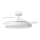 Aigostar - LED Loftlampe med ventilator dæmpbar MESH LED/50W/230V 2700-6500K sort + fjernbetjening