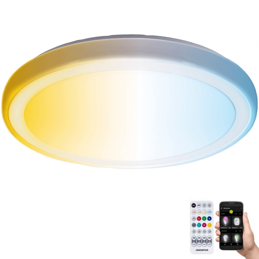 Aigostar - LED loftlampe til badeværelse dæmpbar MESH Smart LED/24W/230V 3000-6500K IP44 + fjernbetjening
