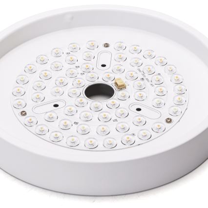 Aigostar - LED loftventilator dæmpbar LED/24W/230V 2700-6500K diameter 165 cm + fjernbetjening hvid