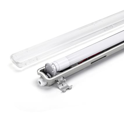 Aigostar - LED lysstofrør 1xG13/18W/230V 4000K 127,6 cm IP65