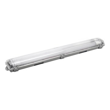 Aigostar - LED lysstofrør 2xG13/9W/230V 4000K 66,6 cm IP65