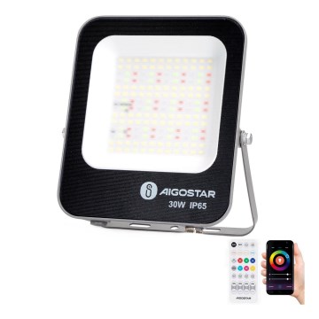 Aigostar - LED m. RGBW-farver Projektør dæmpbar MESH Smart LED/30W/230V 6500K IP65 + fjernbetjening
