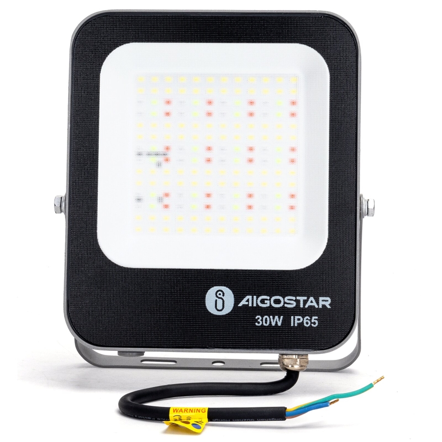 Aigostar - LED m. RGBW-farver Projektør dæmpbar MESH Smart LED/30W/230V 6500K IP65 + fjernbetjening