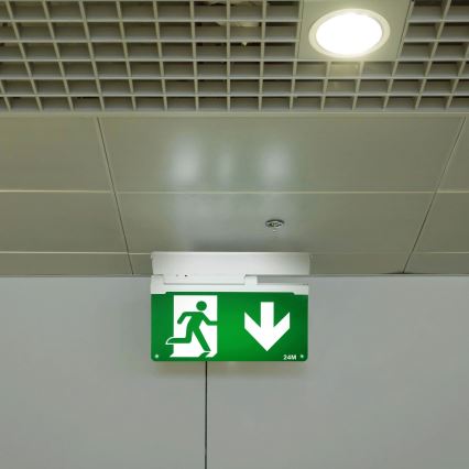 Aigostar - LED nødlampe EMERGENCY EXIT LED/3,6W/230V 6500K 500mAh