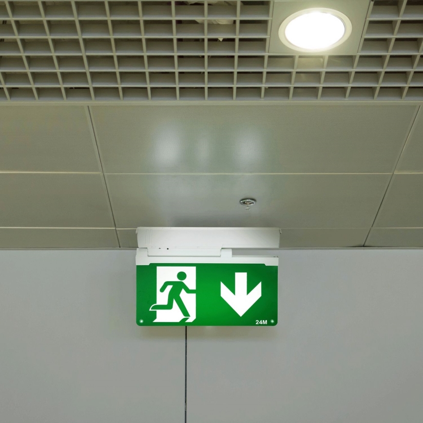 Aigostar - LED nødlampe EMERGENCY EXIT LED/3,6W/230V 6500K 500mAh