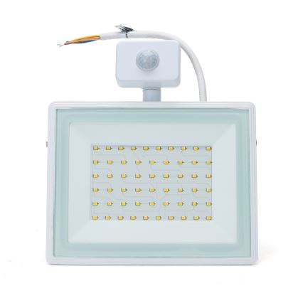 Aigostar - LED projektør med sensor LED/50W/230V 4000K IP65 hvid