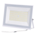Aigostar - LED-reflektor LED/100W/230V 6500K IP65