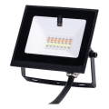 Aigostar - LED RGB Dæmpbar projektør LED/20W/230V IP65 + fjernbetjening