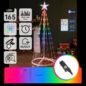 Aigostar - LED RGBICW Smart udendørs juledekoration MESH 165xLED/230V 1,8 m IP44 + fjernbetjening