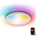 Aigostar - LED RGBW Dæmpbar loftlampe LED/22W/230V 2700-6500K Wi-Fi