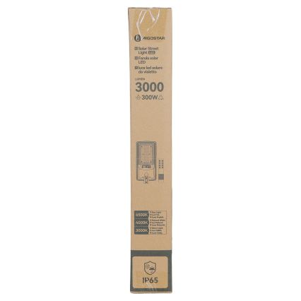 Aigostar - LED solcelledrevet gadelampe med sensor LED/400W/3,2V 4800mAh + fjernbetjening