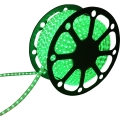 Aigostar - LED Strimmel 50m LED/300W/230V IP65 grøn