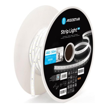 Aigostar - LED Strimmel LED/250W/230V 50m 6500K IP65