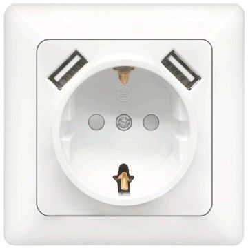 Aigostar - SCHUKO-stikkontakt 250 V med 2x USB og ramme, hvid