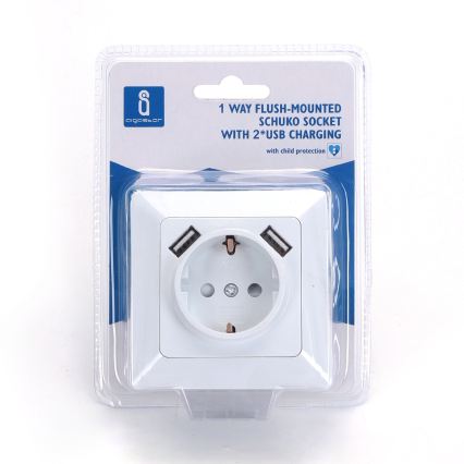Aigostar - SCHUKO-stikkontakt 250 V med 2x USB og ramme, hvid