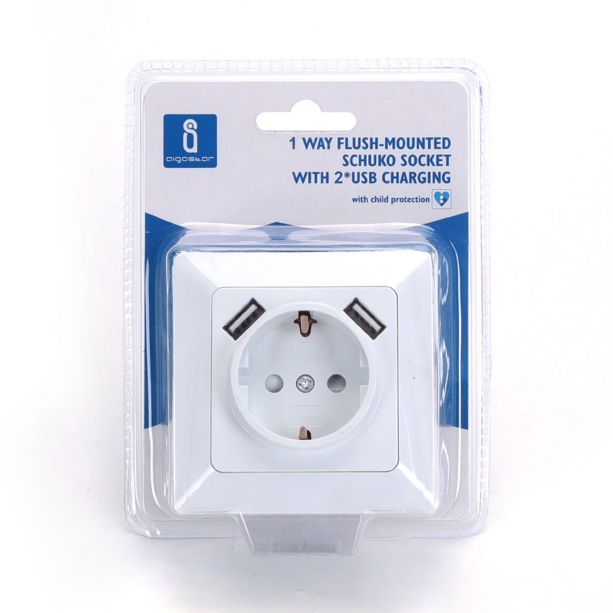 Aigostar - SCHUKO-stikkontakt 250 V med 2x USB og ramme, hvid
