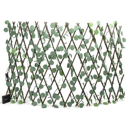 Aigostar - Soldrevet LED lyskæde 102xLED/2x0,7 m IP65 varm hvid eukalyptus