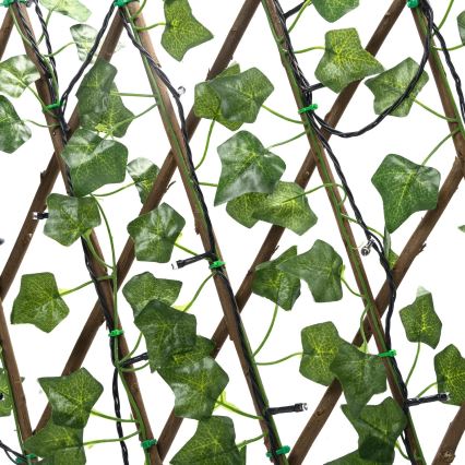 Aigostar - Soldrevet LED lyskæde 102xLED/2x0,7 m IP65 varm hvid ivy