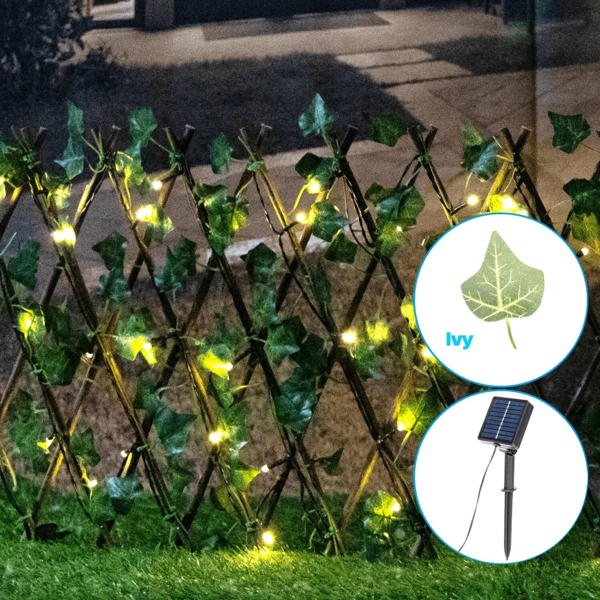 Aigostar - Soldrevet LED lyskæde 56xLED/2x0,4 m IP65 varm hvid ivy