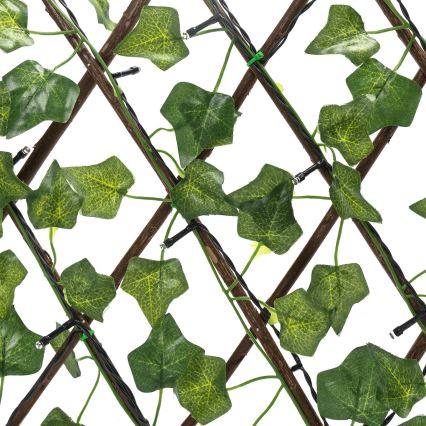 Aigostar - Soldrevet LED lyskæde 56xLED/2x0,4 m IP65 varm hvid ivy
