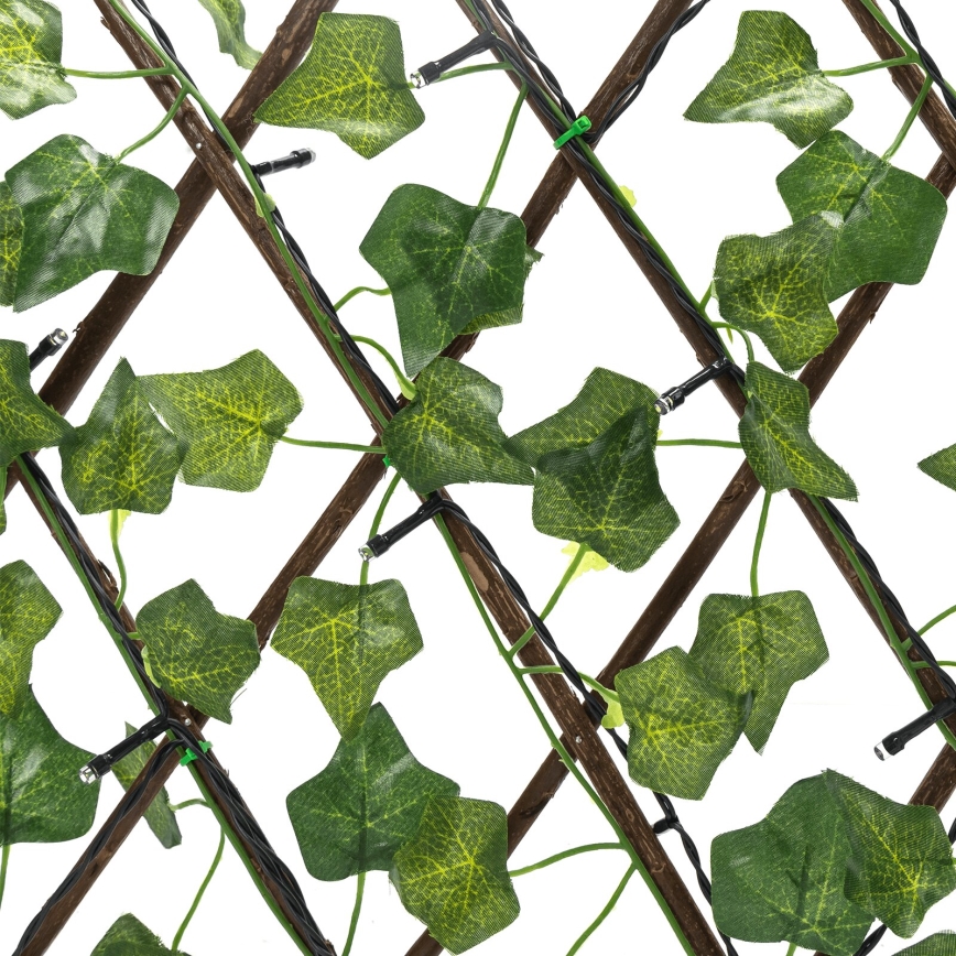 Aigostar - Soldrevet LED lyskæde 56xLED/2x0,4 m IP65 varm hvid ivy