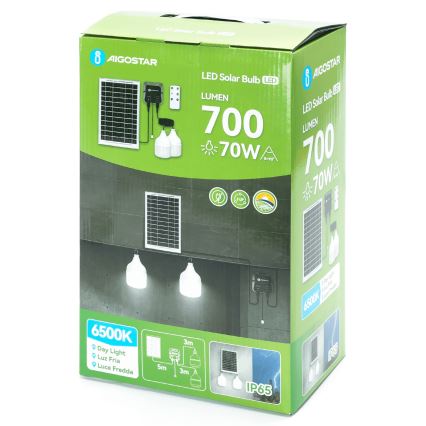 Aigostar - Soldrevet LED pendel 2xLED/35W/12V 6000 mAh 6500K diameter 10 cm + fjernbetjening