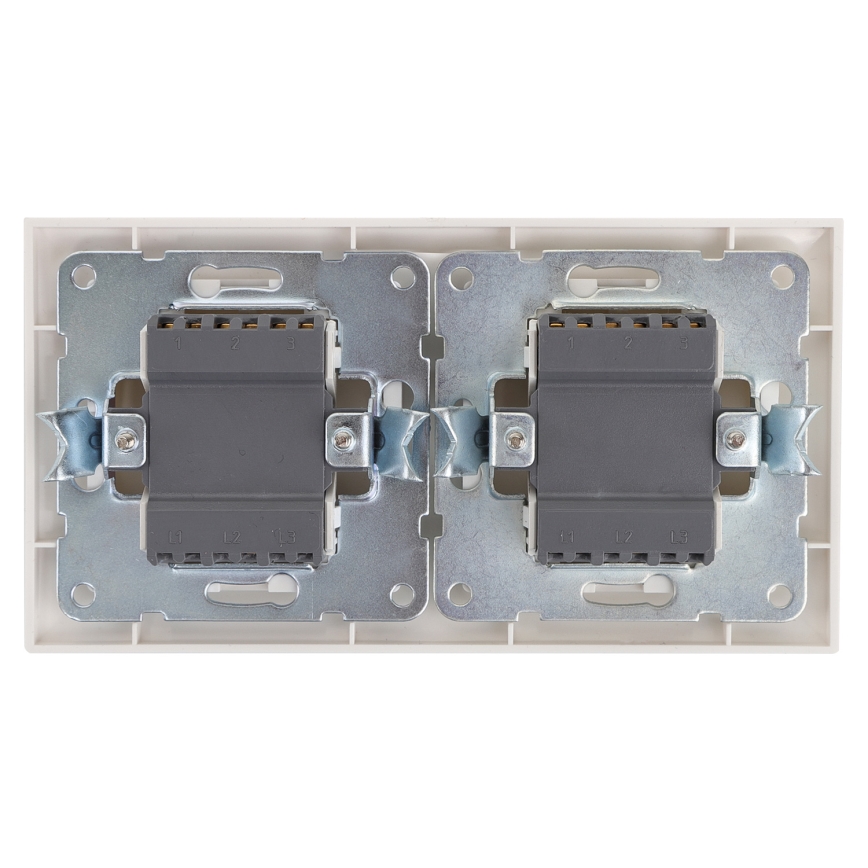 Aigostar - SÆT 2x Home switch 2 knapper 250V/10A