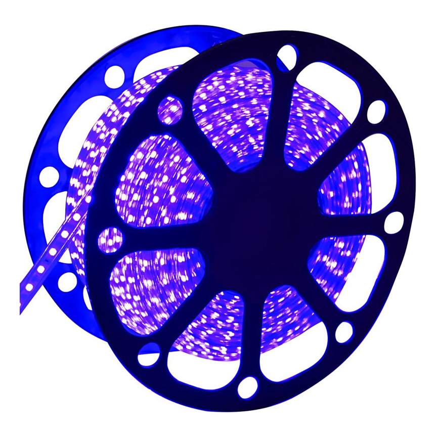 Aigostar - Udendørs LED strip 50 m LED/300W/230V blå IP65