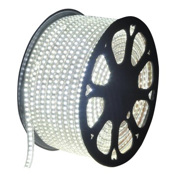 Aigostar - Udendørs LED strip 50 m LED/350W/230V 6500K IP65