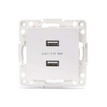 Aigostar - USB-stikkontakt uden ramme 2x USB-A hvid