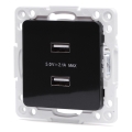 Aigostar - USB-stikkontakt uden ramme 2x USB-A sort