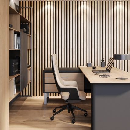 Akustisk beklædningspanel VASALUND 240x52 cm eg