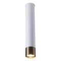 Amplex - Spotlampe 1xGU10/10W/230V hvid/guld